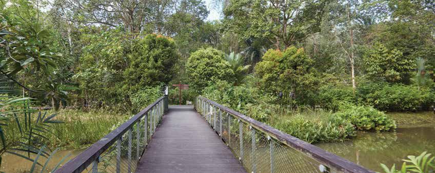 Nature trail